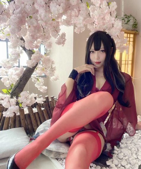 狼鹰电影免费观看高清完整版